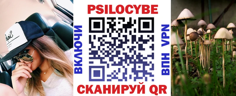 Купить закладки  Тогучин  Галлюциногенные грибы Cubensis 